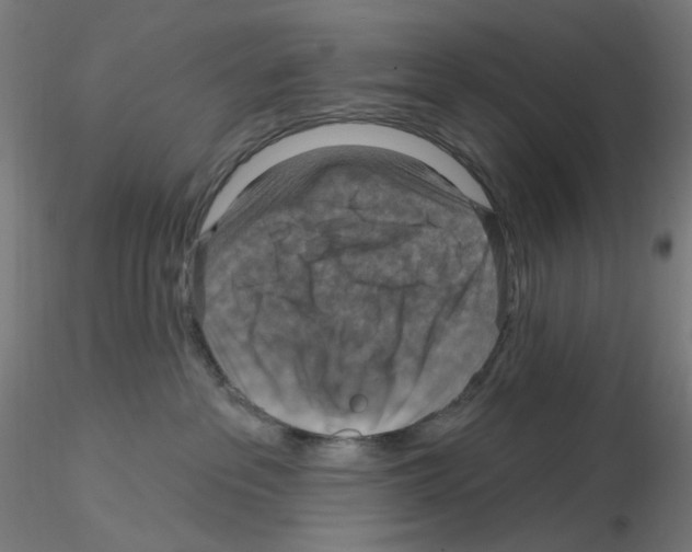 X0000115610237200912221214