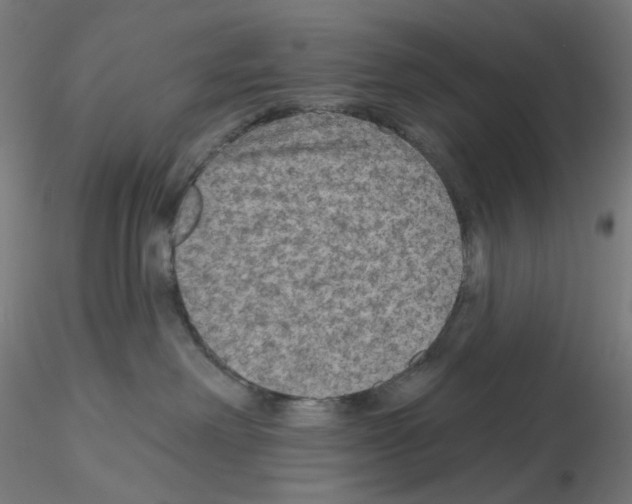 X0000115610238200912221214