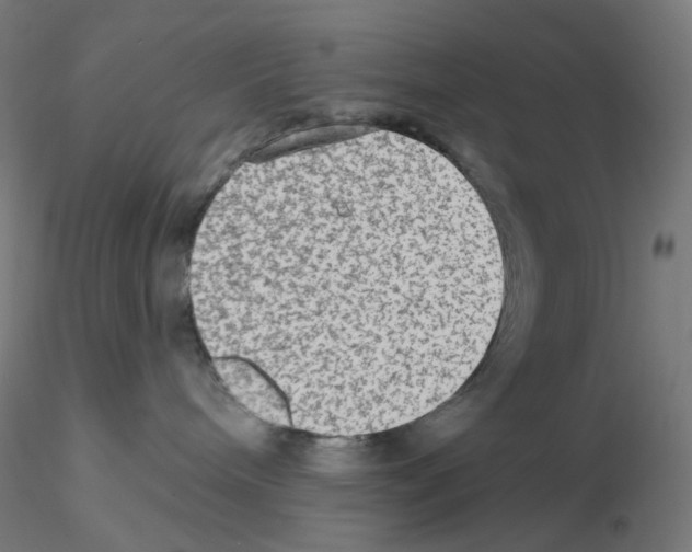 X0000115610240200912221214