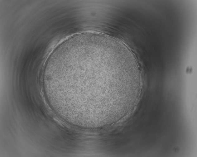 X0000115610241200912221213