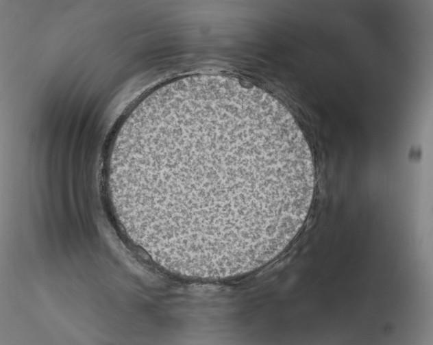 X0000115610242200912221213
