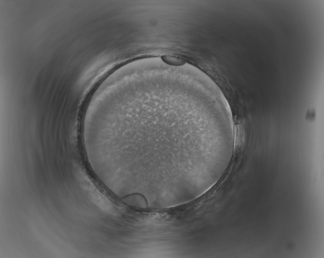X0000115610243200912221213