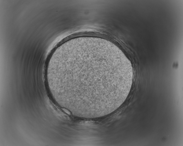 X0000115610244200912221213