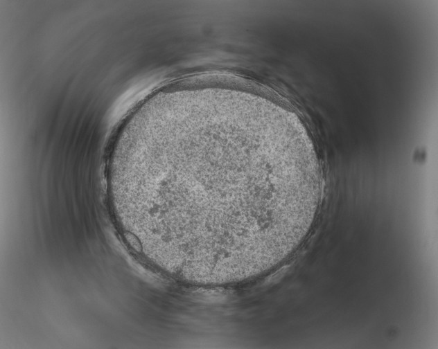 X0000115610245200912221213