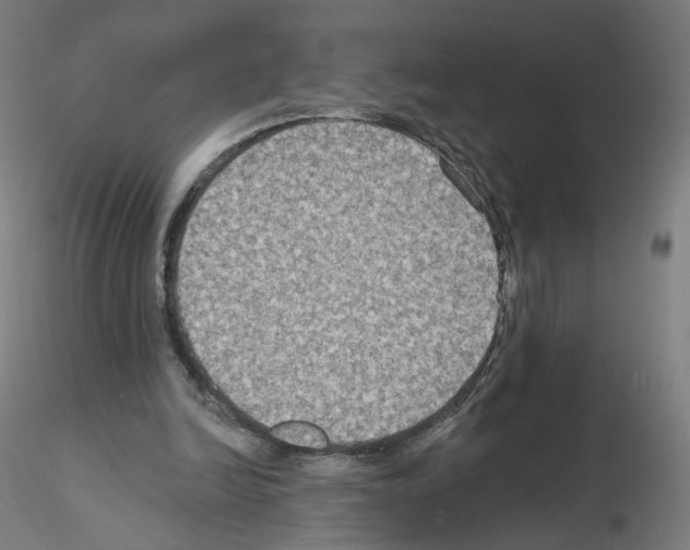 X0000115610246200912221213