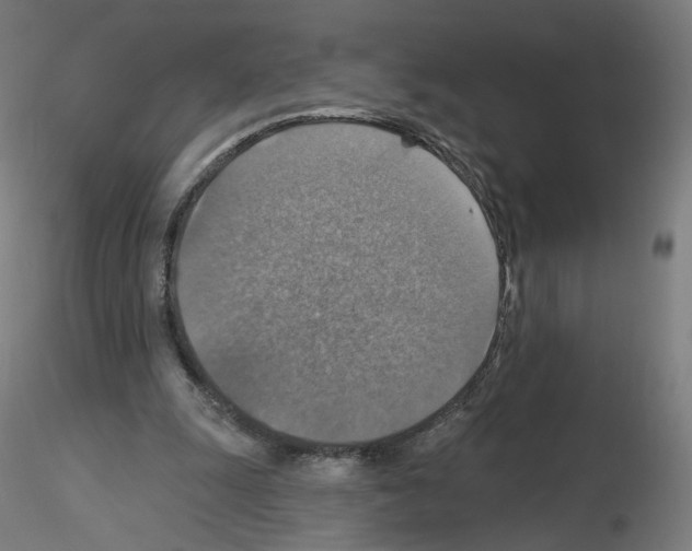 X0000115610247200912221213