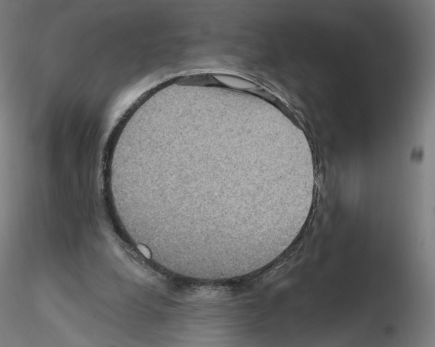 X0000115610248200912221213
