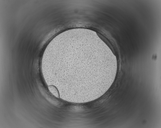 X0000115610250200912221213