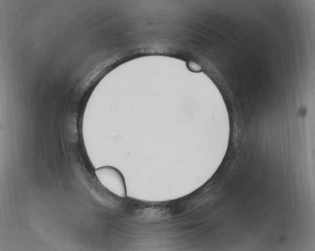 X0000115610251200912221213