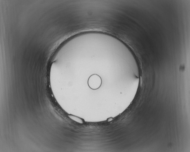 X0000115610252200912221213