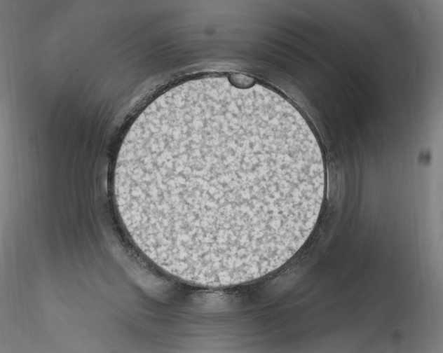 X0000115610253200912221213