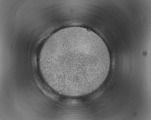 X0000115610254200912221213