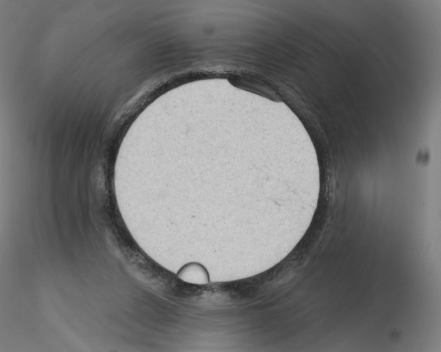 X0000115610256200912221213