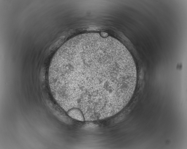 X0000115610257200912221213