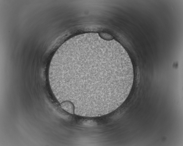 X0000115610258200912221213
