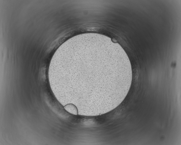 X0000115610262200912221213