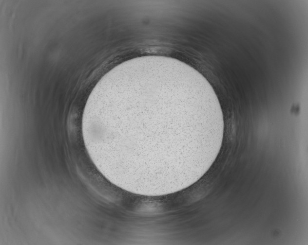 X0000115610263200912221213
