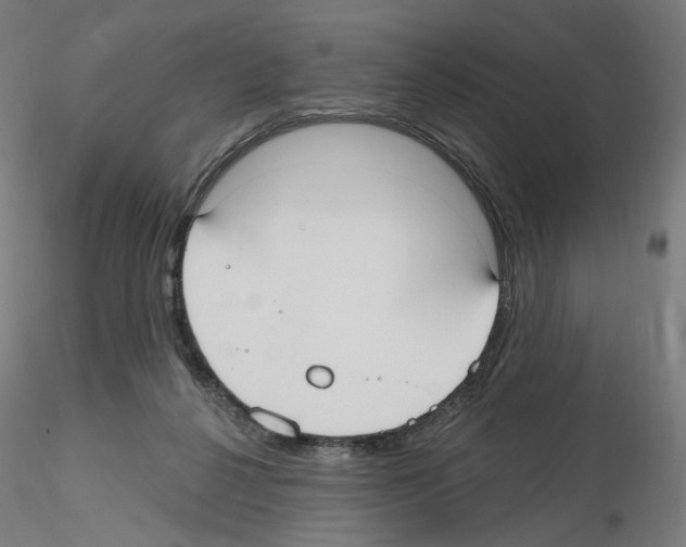 X0000115610264200912221213