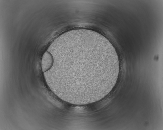 X0000115610265200912221213