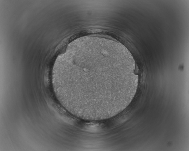 X0000115610267200912221213