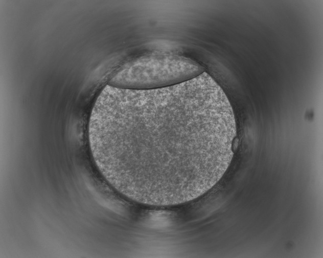 X0000115610268200912221213
