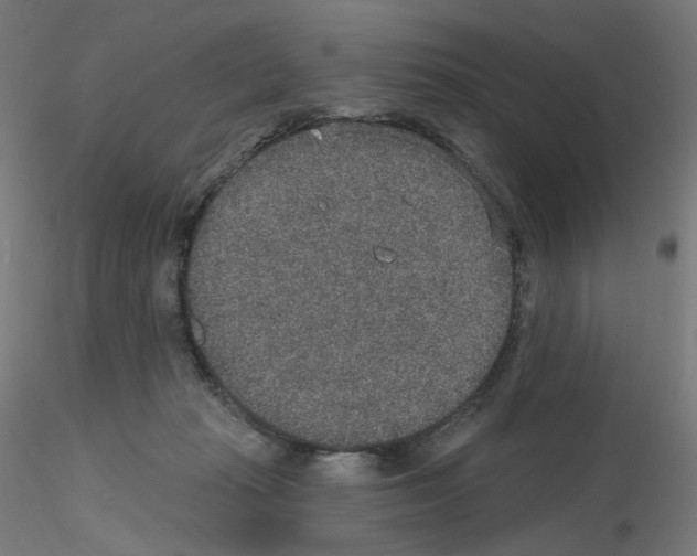 X0000115610269200912221213