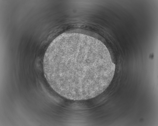 X0000115610270200912221213