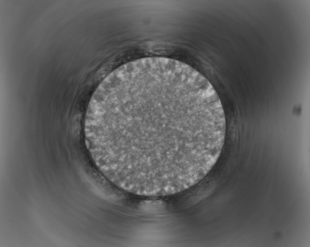 X0000115610271200912221213