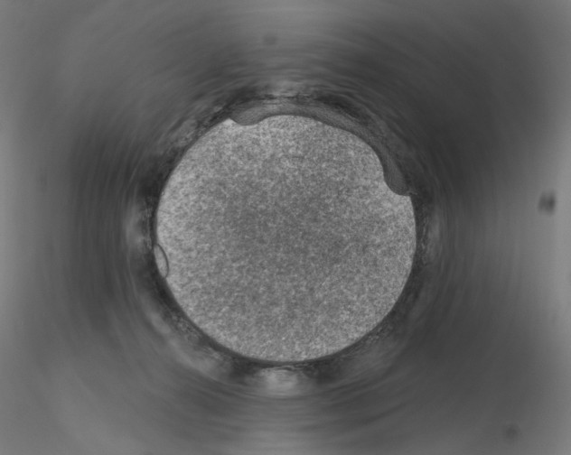X0000115610272200912221213