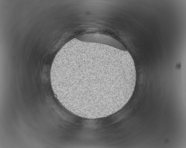 X0000115610273200912221213