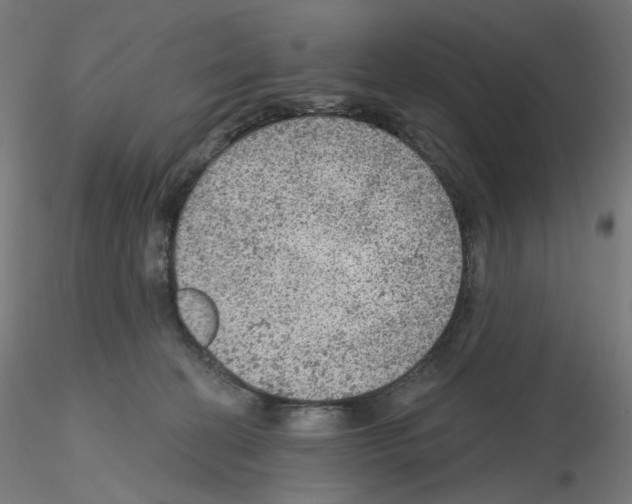 X0000115610274200912221213