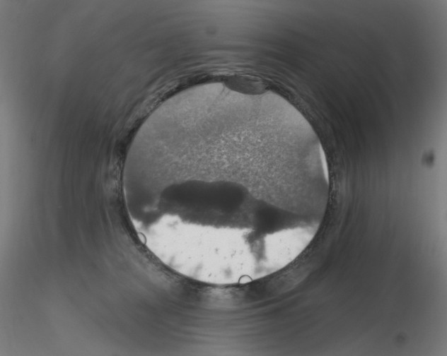 X0000115610277200912221213