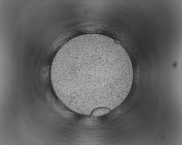 X0000115610278200912221213