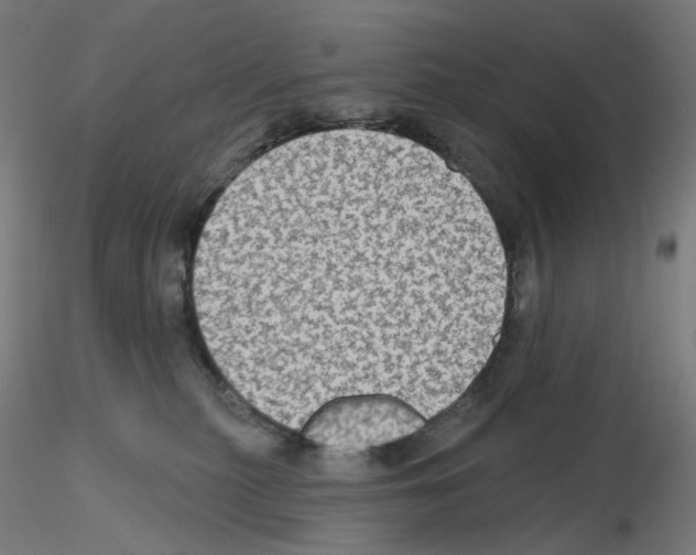 X0000115610279200912221213