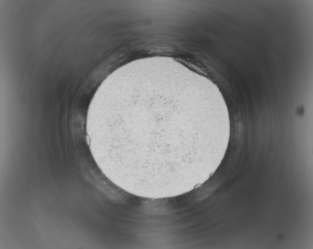 X0000115610281200912221213