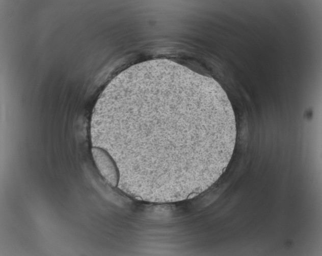 X0000115610282200912221213