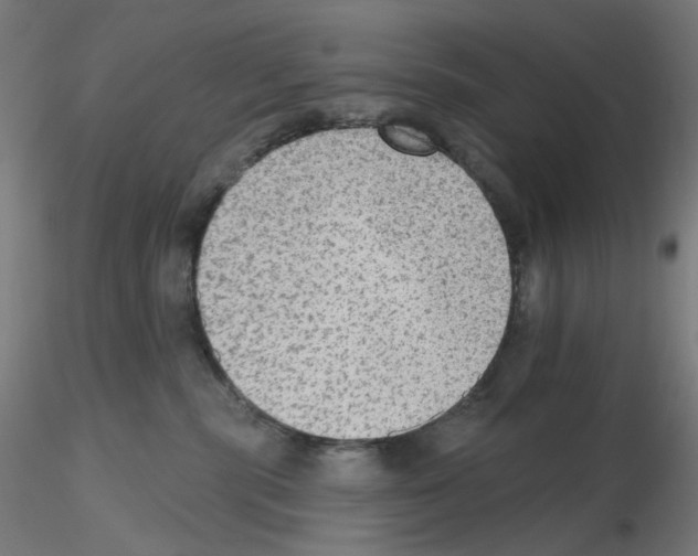 X0000115610283200912221213