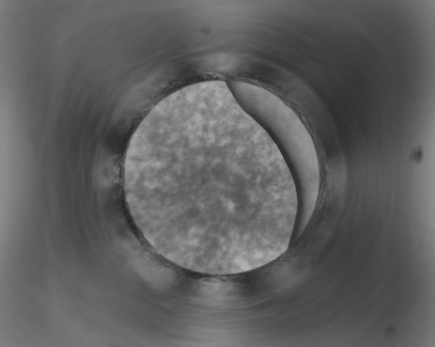 X0000115610284200912221213
