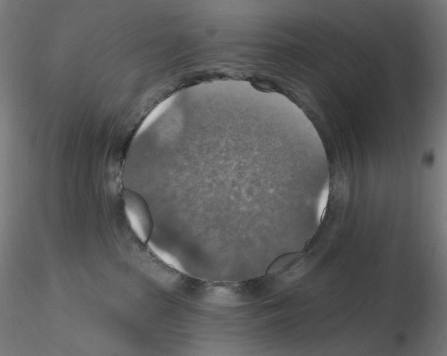 X0000115610285200912221213