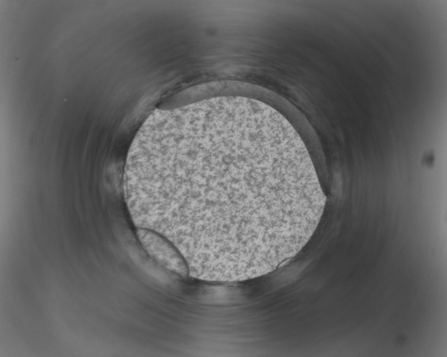 X0000115610286200912221213