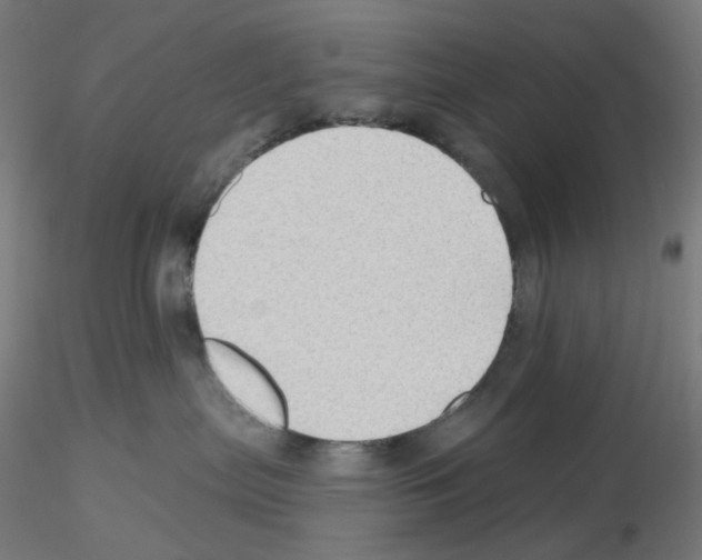 X0000115610287200912221213