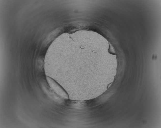X0000115610288200912221213