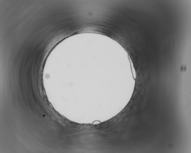 X0000115610289200912221213