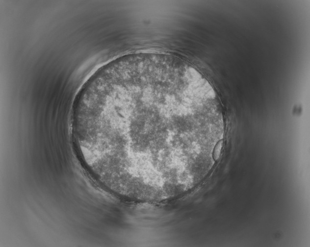X0000115610290200912221213