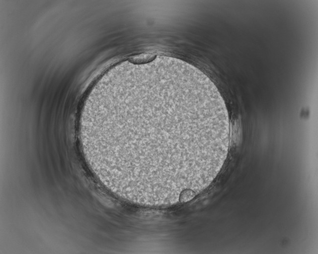 X0000115610291200912221213