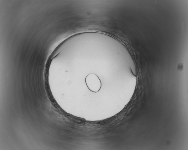 X0000115610292200912221213