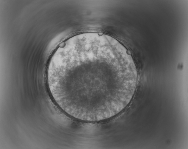X0000115610293200912221213