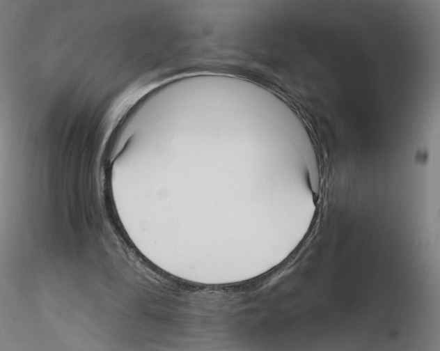 X0000115610294200912221213