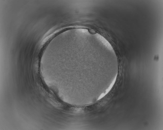 X0000115610295200912221213