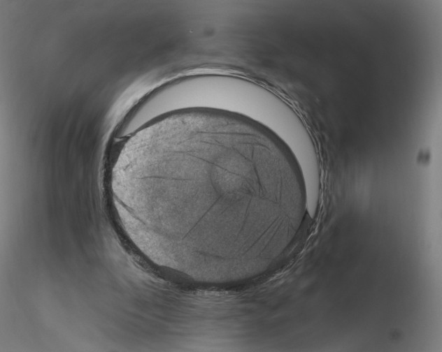 X0000115610296200912221213